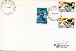 ANTARCTIQUE AUSTRALIEN. Enveloppe Polaire De 1977. Base Casey. - Estaciones Científicas