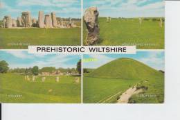 Prehistoric Wiltshire - Salisbury