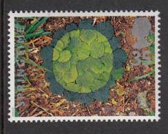 Great Britain Scott #1594 MNH 35p Hazel Leaves - Sculptures By Andy Goldsworthy - Nuovi