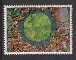 Great Britain Scott #1594 MNH 35p Hazel Leaves - Sculptures By Andy Goldsworthy - Unused Stamps