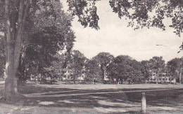 New Hampshire Hanover Campus Looking East From Main Street Dartmouth College Albertype - Other & Unclassified