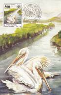 PELICANS,1992 CM,MAXICARD,CARTES MAXIMUM,JUGOSLAVIA. - Pelicans