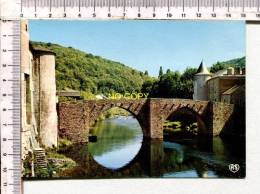 BRASSAC - Le Vieux Pont Et Les Rives De L' Agout - Brassac