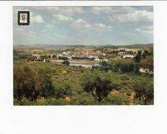 Portugal Cor 22367 - MIRANDELA - VISTA PANORÂMICA - Bragança