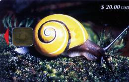 TELECARTE CUBA... GASTEROPODE...(ESCARGOT)  TRES.RARE!!!! .... VOIR SCANNER GROSSE COTE - Sonstige & Ohne Zuordnung