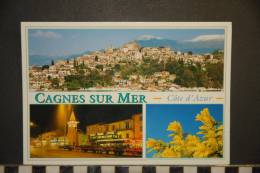 CP, 06, Cagnes Sur Mer Hauts De Cagnes Le Chateau Eglise Du Cros De Cagnes Mimosas - Cagnes-sur-Mer