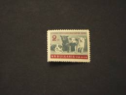 BULGARIA - P.A 1961 CANI - NUOVO(++)-TEMATICHE - Luftpost