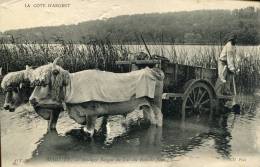 64..PYRÉNÉES ATLANTIQUES..BIARRITZ  ATTELAGE  AU LAC DU BOIS DE BOULOGNE    NON  ÉCRITE. ‹(•¿• )› - Biarritz