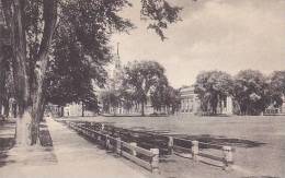 New Hampshire Hanover Senior Fence Campus From College Hall Dartmouth College Albertype - Concord