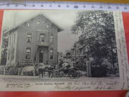 1 Postkaart Rond 1900 RECLAME Brasseur Brouwer, NEERPELT: Brasserie Les Lions Xavier Rutten, Levering Met Paard En Kar - Neerpelt