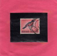 SUD SOUTH AFRICA RSA AFRIQUE 1961 FAUNA BIRDS CRIMSON BREASTED SHRIKE UCCELLI Laniarius Atrococcineus  UCCELLO USED - Used Stamps