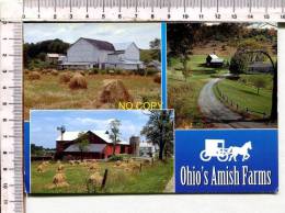 OHIO'S AMISH FARMS -    3 Vues - Otros & Sin Clasificación