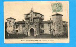 69 Saint Symphorien Sur Coise : Château De Saconay - Saint-Symphorien-sur-Coise