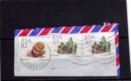 SUD SOUTH AFRICA RSA AFRIQUE 1988 FLORA PLANTS Succulent Plant CRASSULA COLUMNARIS TAVARESIA BARKLYI PIANTA PIANTE  USED - Used Stamps