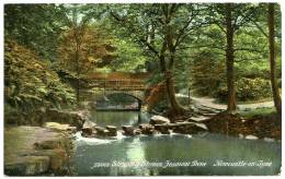 NEWCASTLE ON TYNE : JESMOND DENE - STEPPING STONES - Newcastle-upon-Tyne