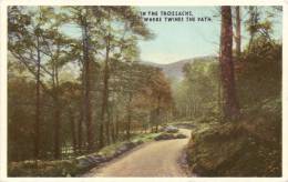 GB - Sc - In The Trossachs, "where Twines The Path" -  Ed. E.T.W. Dennis & Sons (circulated 1950) - Stirlingshire