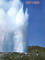 (505) Island - Islande - Geyser - Islande