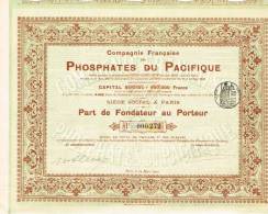 Compagnie Francaise Des Phosphates Du Pacifique Part Fondateur Siege Paris 1907 Deux Dechirures 1 Cm Cadre Cote Gauche - Agriculture