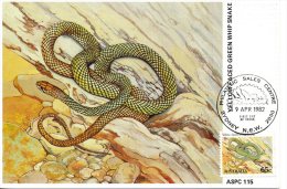 AUSTRALIE. N°769  De 1982 Sur Carte Maximum. Serpent. - Serpenti