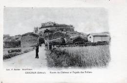 GRIGNAN - Entrée Du Chateau Et Façade Des Prélats - Grignan