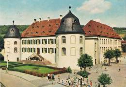 BAD BERGZABERN A.d. Weinstasse (Pfalz) - Kneippheilbad Und Heilklimatischer Kurort - Schloss - Château Avec Visiteurs - - Bad Bergzabern