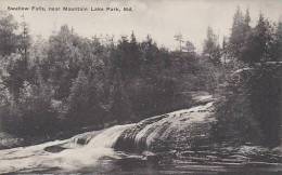 Maryland Mountain Lake Park Swallow Falls Albertype - Andere & Zonder Classificatie