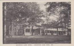 Maryland Mountain Lake Park Mountain Lake Hotel Albertype - Andere & Zonder Classificatie