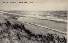 Delaware Bethany Along The Ocean Shore Albertype - Altri & Non Classificati