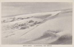 New Mexico Alamogordo White Sands Albertype - Autres & Non Classés