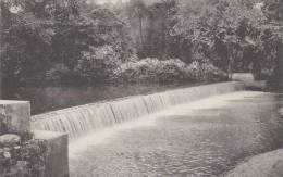 Maryland Elkton Elk River Waterfalls City Park Albertype - Other & Unclassified