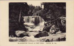 West Virginia Davis Blackwater Falls Albertype - Other & Unclassified