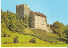 Schloss Habsburg Bei Brugg - Brugg