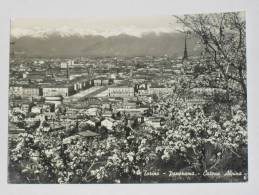 TORINO - Panorama - Catena Alpina - Mehransichten, Panoramakarten