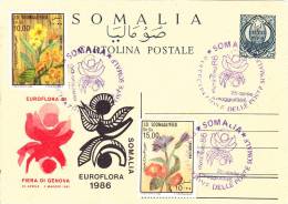FLOWERS 1986 STAMPS AND CANCELL ON POSTCARD STATIONERY SOMALIA. - Somalie (1960-...)