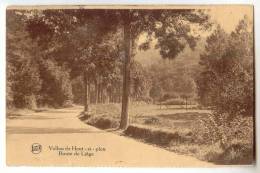 E785 - Vallon De Hout-si-plou - Route De Liège - Neupré