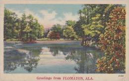 Alabama Flomaton Greatings From Flomaton - Other & Unclassified