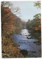 The River Derwent, Borrowdale, Cumberland, 1980 Postcard - Borrowdale