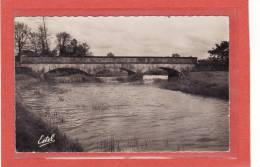 LA FRESNAYE SUR CHEDOUET (72) /CPSM / OUVRAGES / PONTS / La Sarthe Au Pont De Menil Brout - La Fresnaye Sur Chédouet