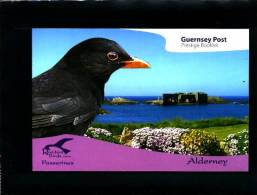 ALDERNEY - 2007  RESIDENT BIRDS  2   PRESTIGE BOOKLET   MINT NH - Alderney