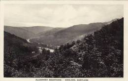 Maryland Oakland Allegheny Mountains Albertype - Other & Unclassified