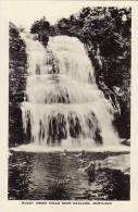 Maryland Oakland Muddy Creek Falls Albertype - Altri & Non Classificati