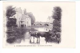 LE MESLE-SUR-SARTHE  --   Le Moulin Et Les Ponts - Le Mêle-sur-Sarthe