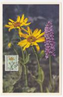 BELGIQUE => 4 Cartes Maximum => FLEURS - 1960 - Sonstige & Ohne Zuordnung