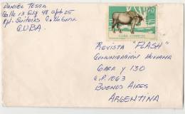 FAUNA - BUFALO From HAVANA ZOO - 1995´s COVER From LA HAVANA To ARGENTINA - Vaches