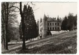 YSSINGEAUX. - Château Roméasà Montbarnier. CPM Dentelée - Yssingeaux