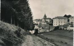 MONTFAUCON - Le Bois De Mazard - Montfaucon En Velay