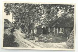 Kasterlee - Oude Hoeve Isschot - 1962 - Kasterlee