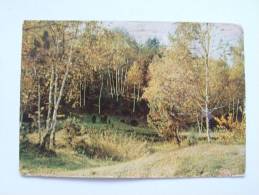 UNGHENI-FOREST-1964 - Moldova