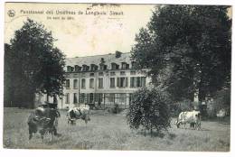 Postkaart / Carte Postale "Sirault - Pensionnat Des Ursulines De Longfaulx - Un Coin Du Parc" - Saint-Ghislain