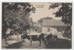 France - Beg Meil - Keraugrimen - Vache - Cow - Kuh - Beg Meil